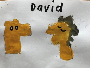 david